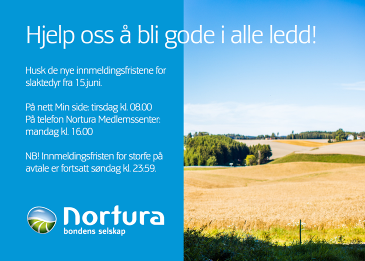 Dette kan du printe ut!