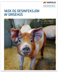 vask-og-desinfeksjon-av-grisehus_veiledningshefte_nov2019.pdf