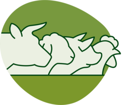 Logo dyreslag