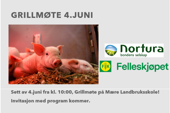 Bilde med info