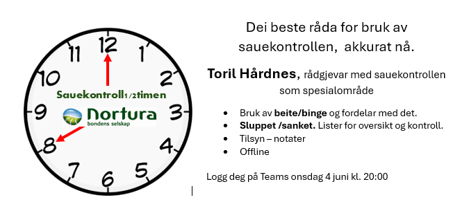 Teamsmøte med info