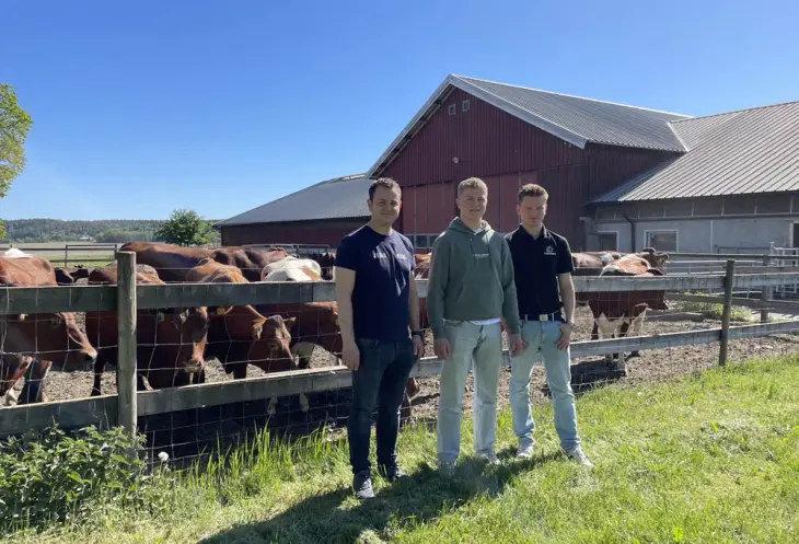 Husdyrtreffvinnerne 2025 på storfekjøtt-produksjon, fra venstre: Faglærer Geir Henning Fjuk, Jørn Lende og Benjamin Øgreid-Øie Husdyrtreffvinnerne 2025 på storfekjøtt-produksjon, fra venstre: Faglærer Geir Henning Fjuk, Jørn Lende og Benjamin Øgreid-Øie