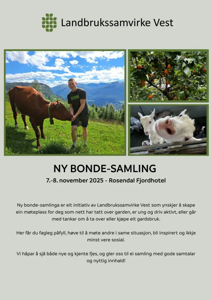 Invitasjon