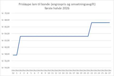 Graf lam engrospris med omsetningsavgift 1. halvår 2026