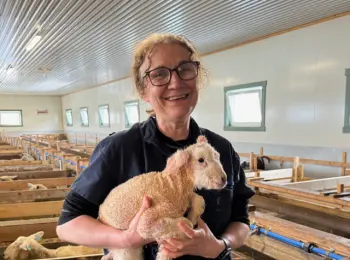 Siv Svendsen, ​​​​​​​spesialveterinær HT sau, Animalia