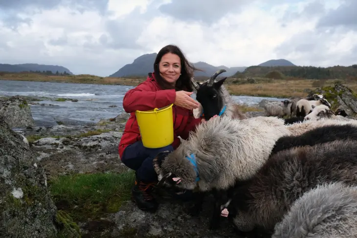 Ann Kristin Nes sitter på huk sammen med en flokk sauer. I bakgrunn ser vi havgapet og fjellformasjoner. Hun holder ei gul bøtte med kraftfôr, som sauene er interessert i. 