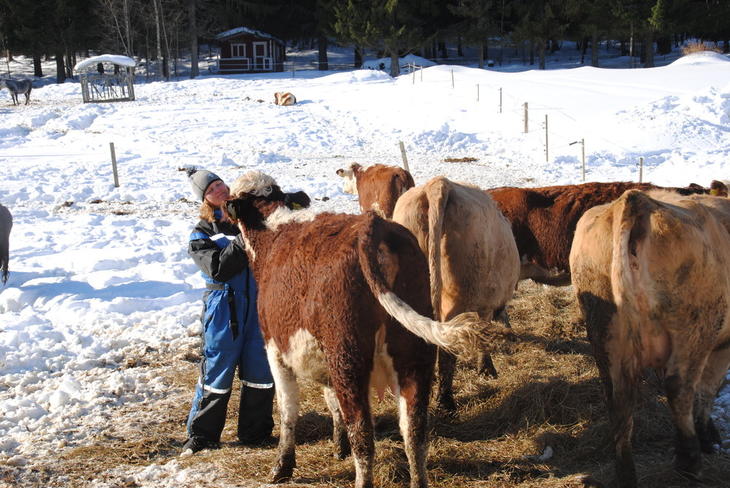 Det er viktig å bruke tid på dyra.