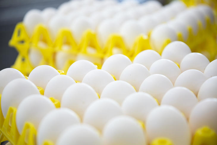Bilde av hvite egg i store, gule plastbrett