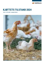 Kjøttets tilstand 2024