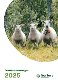 Lammesesongen 2025, informasjonshefte pdf.