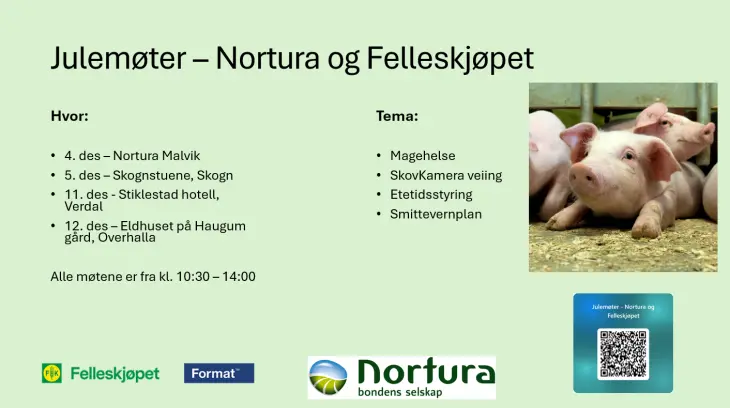 Bilde med info og program