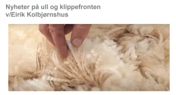 Nye og spennende tider på ull og klippefronten, pdf. 3 MB