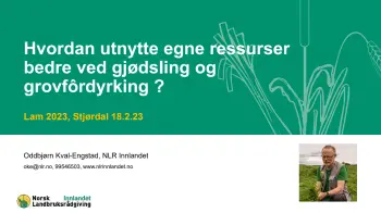 Hvordan utnytte egne ressurser, pdf. 2 MB